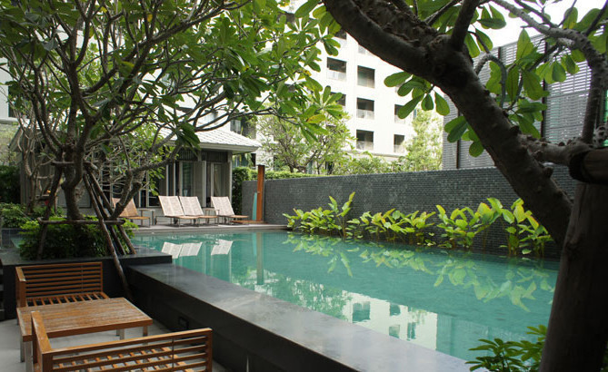 เดอะ ซี้ด เมมโมรี่ สยาม [The Seed Memories Siam]