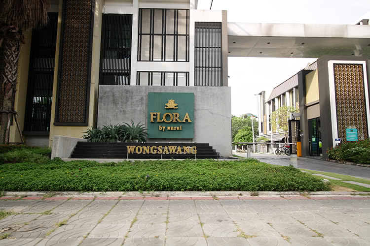 ฟลอร่า วงศ์สว่าง [FLORA WONGSAWANG]
